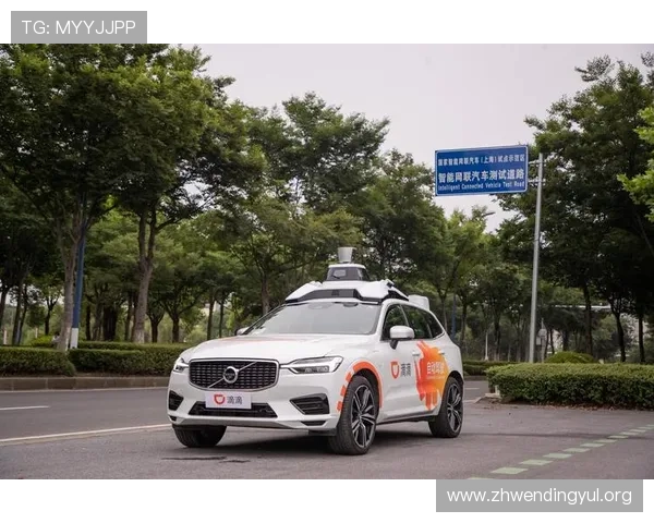 问鼎网址登录线路常见问题解决方案解析保障用户顺畅访问体验