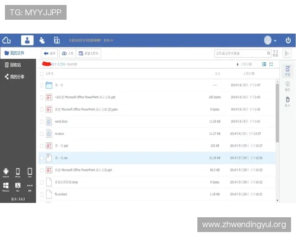 问鼎网站官网入口安全访问指南，详细介绍官方入口地址及登录流程优化